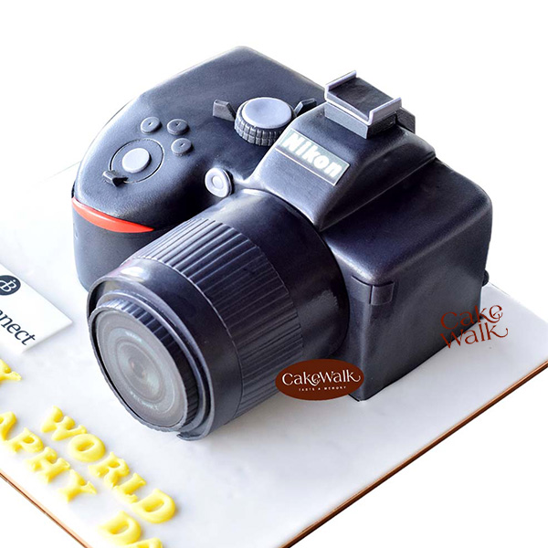 3D Camera Cake